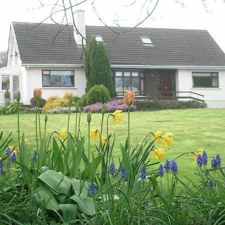 Bed and Breakfast Glen Na Smole Wicklow Exterior foto