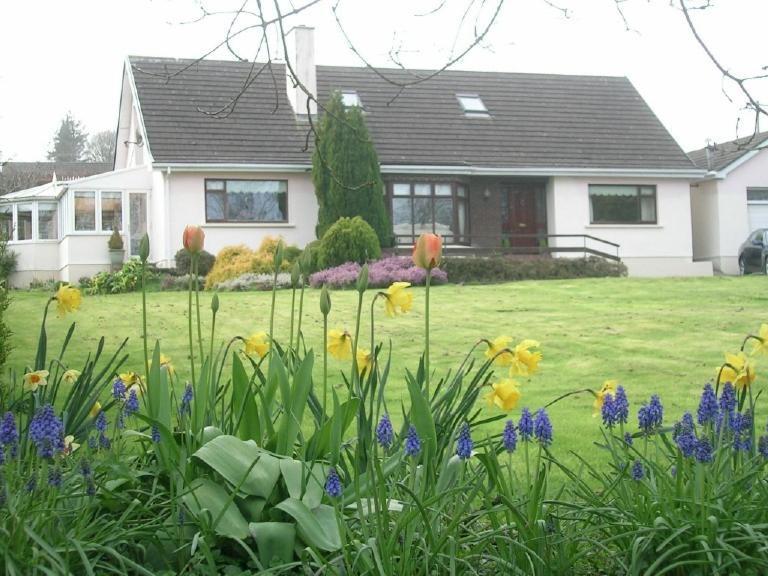 Bed and Breakfast Glen Na Smole Wicklow Exterior foto